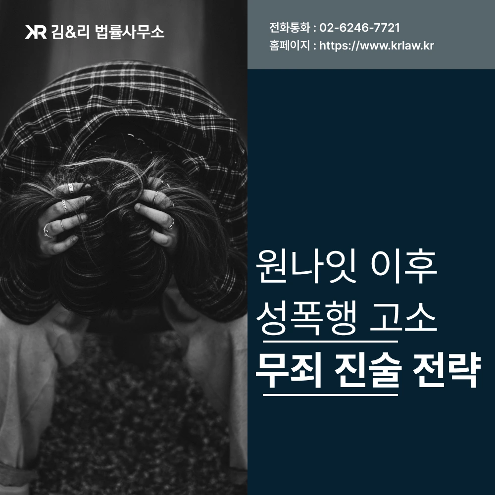원나잇 성폭행 고소 무죄 진술 전략 카드 이미지
