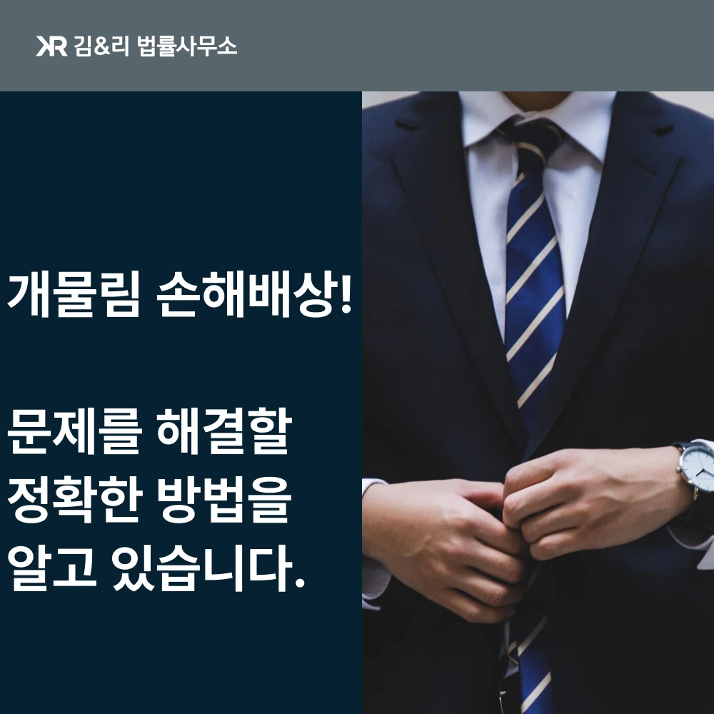개물림 사고 치료비 위자료 민사소송 카드 이미지