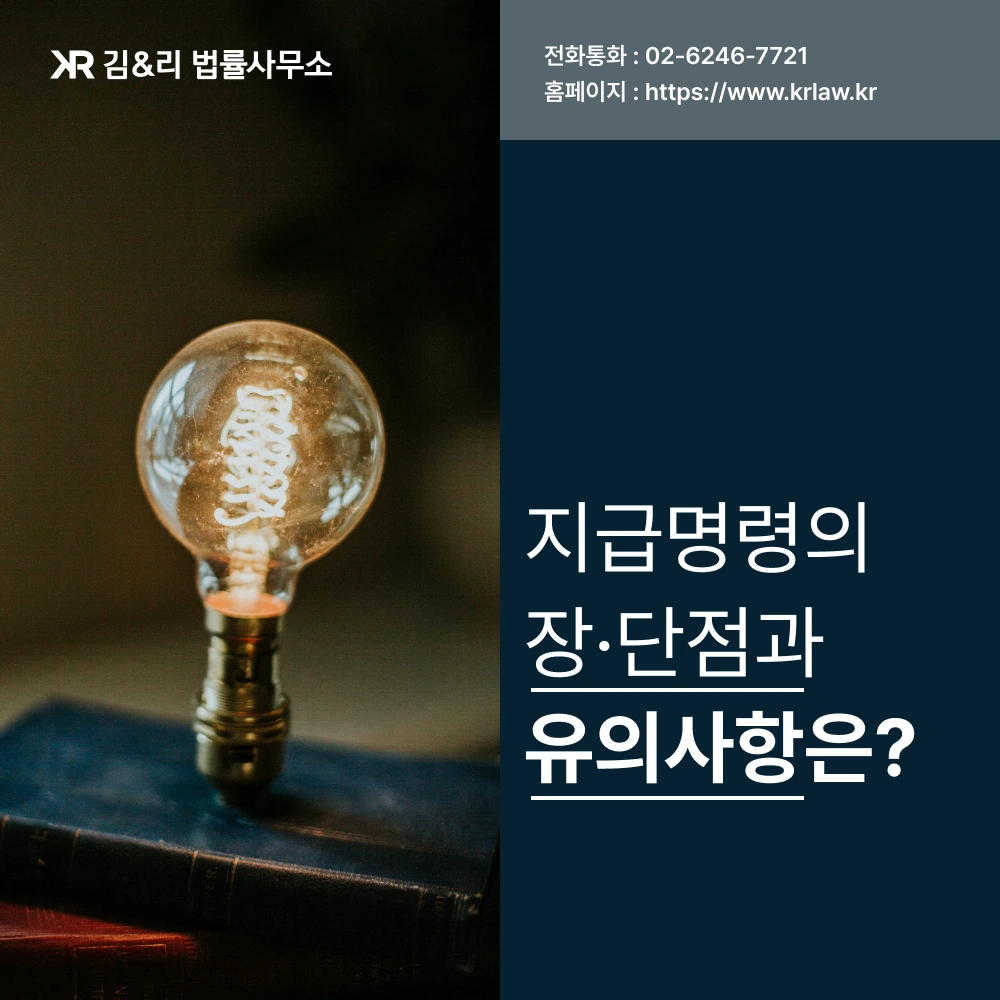 지급명령 장점과 한계 설명 카드 이미지